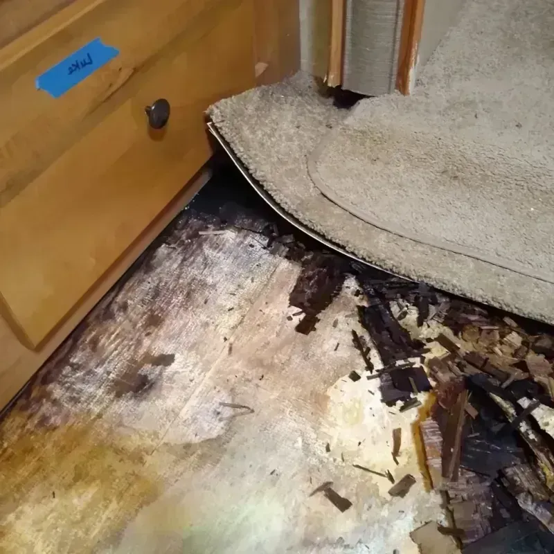 Wood Floor Water Damage in Orchard Lake, MI